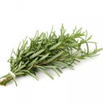 Rosemary