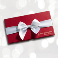 red door gift card special offer