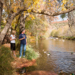 Amara Resort Creekside