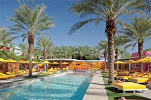 Saguaro Hotel Scottsdale