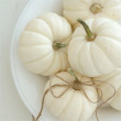 Cecilia Wong’s Pumpkin Spice Latte Face Scrub