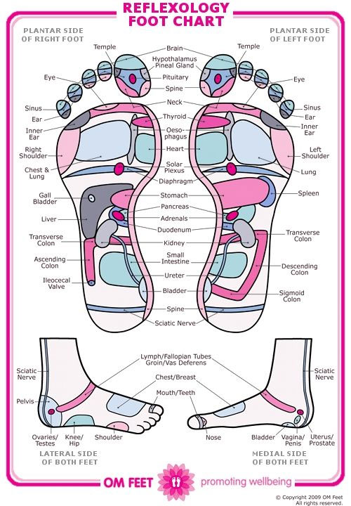 Knee Reflexology Foot Chart